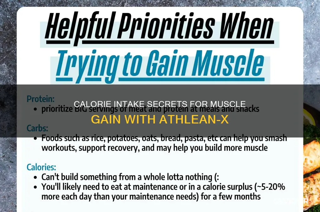 how many calories for muscle gain athleanx