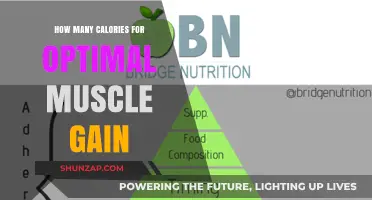 Fuel Your Gains: Calorie Intake for Optimal Muscle Growth