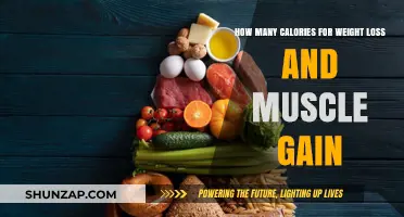 Calorie Secrets for Weight Loss and Muscle Gain Success