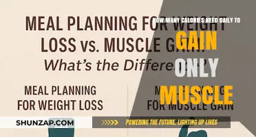 Optimal Daily Calorie Intake for Muscle Gain Without Fat