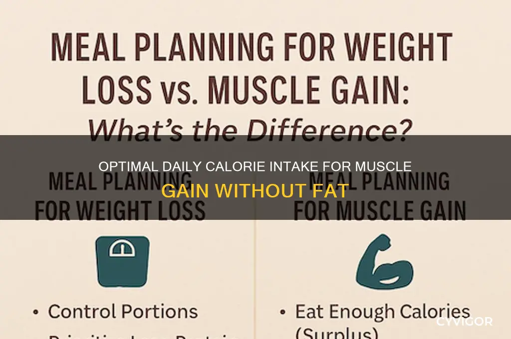 how many calories need daily to gain only muscle