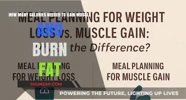 Optimize Calories for Muscle Gain and Fat Loss: A Guide