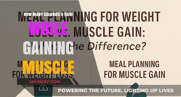 Calorie Intake Guide for Effective Muscle Gain and Growth