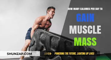 Fuel Your Muscle Growth: Daily Calorie Intake for Mass Gain