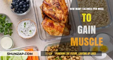 Fuel Your Muscle Growth: Optimal Calories Per Meal Guide