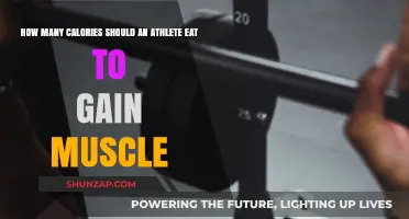Fuel Your Gains: Optimal Calorie Intake for Athletes Building Muscle