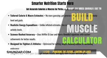 Fuel Your Gains: The Ultimate Muscle-Building Calorie Calculator