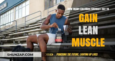 Optimal Calorie Intake for Building Lean Muscle Mass
