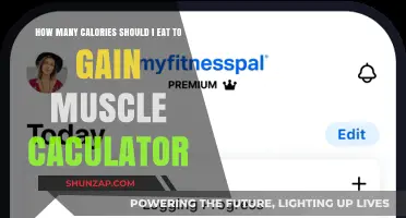 Calculate Your Muscle-Building Calorie Intake for Optimal Gains