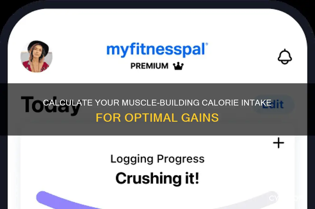how many calories should i eat to gain muscle caculator