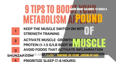 Fuel Your Gains: The Caloric Blueprint for Muscle Building Success