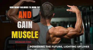 Calories for Fat Loss and Muscle Gain: The Ultimate Guide