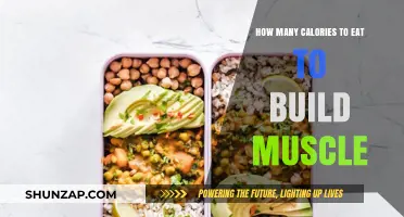 Fuel Your Gains: The Ultimate Guide to Caloric Intake for Muscle Building
