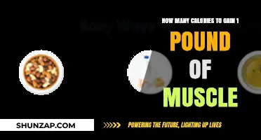 Calories Needed to Build Muscle: Unlocking 1 Pound of Growth