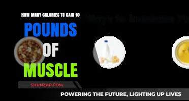 Calories for Muscle Gain: Building 10 Pounds Effectively