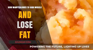 Calorie Strategies for Muscle Gain and Fat Loss Success