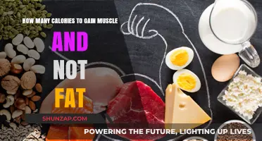 Caloric Surplus Secrets: Building Muscle Without Unwanted Fat Gain