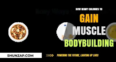 Calorie Intake Secrets for Effective Muscle Gain in Bodybuilding