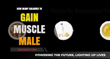 Muscle Gain Calorie Guide: Optimal Intake for Men's Growth