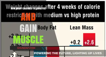 Calorie Secrets: Shed Fat, Build Muscle, Transform Your Body