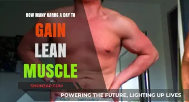 Optimal Daily Carb Intake for Building Lean Muscle Mass