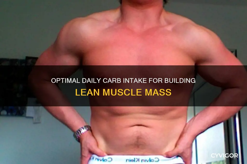 how many carbs a day to gain lean muscle