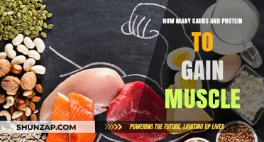 Carbs and Protein: The Optimal Ratio for Muscle Gain