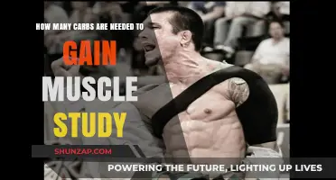 Carb Intake for Muscle Gain: Study Insights and Recommendations