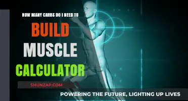 Fuel Your Gains: The Ultimate Carb Calculator for Muscle Building