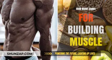 Fueling Muscle Growth: The Optimal Carb Intake for Bodybuilders