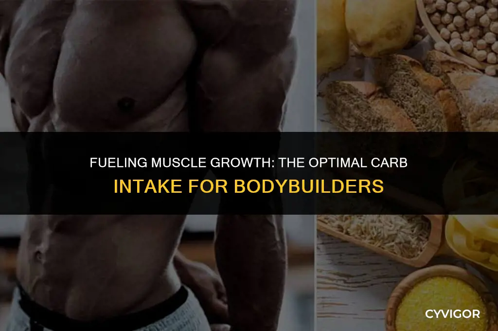 how many carbs for building muscle