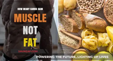 Carb Intake Secrets: Build Muscle, Avoid Fat Gain Effectively