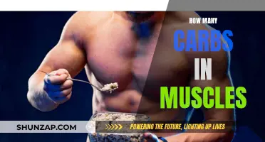Muscle Growth and Carb Intake: What's the Connection?