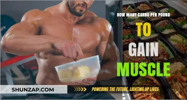 Carb Intake Secrets: Fueling Muscle Growth Effectively Per Pound