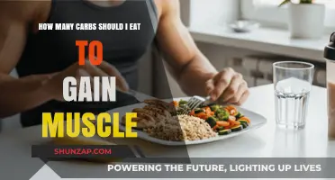 Optimal Carb Intake for Muscle Gain: Fuel Your Growth Effectively