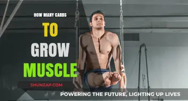 Carb Intake Secrets for Effective Muscle Growth and Strength