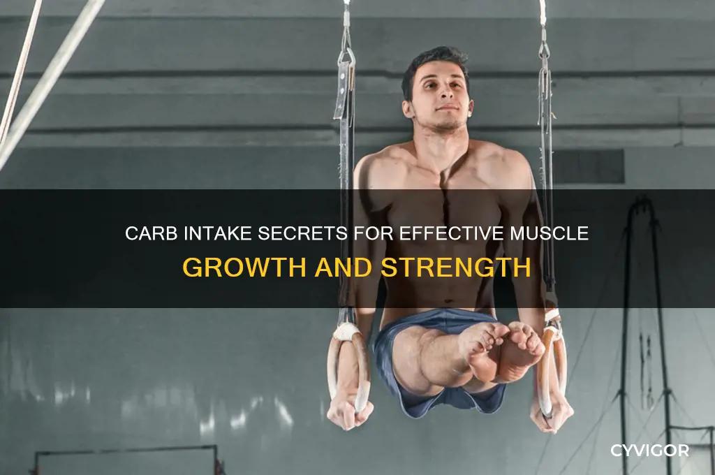 how many carbs to grow muscle