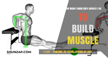 Effective Chair Dip Reps for Muscle Building: A Comprehensive Guide