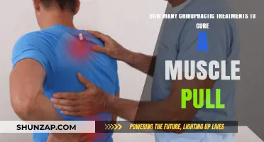 Effective Chiropractic Treatment Plan for Healing Muscle Pulls: What to Expect
