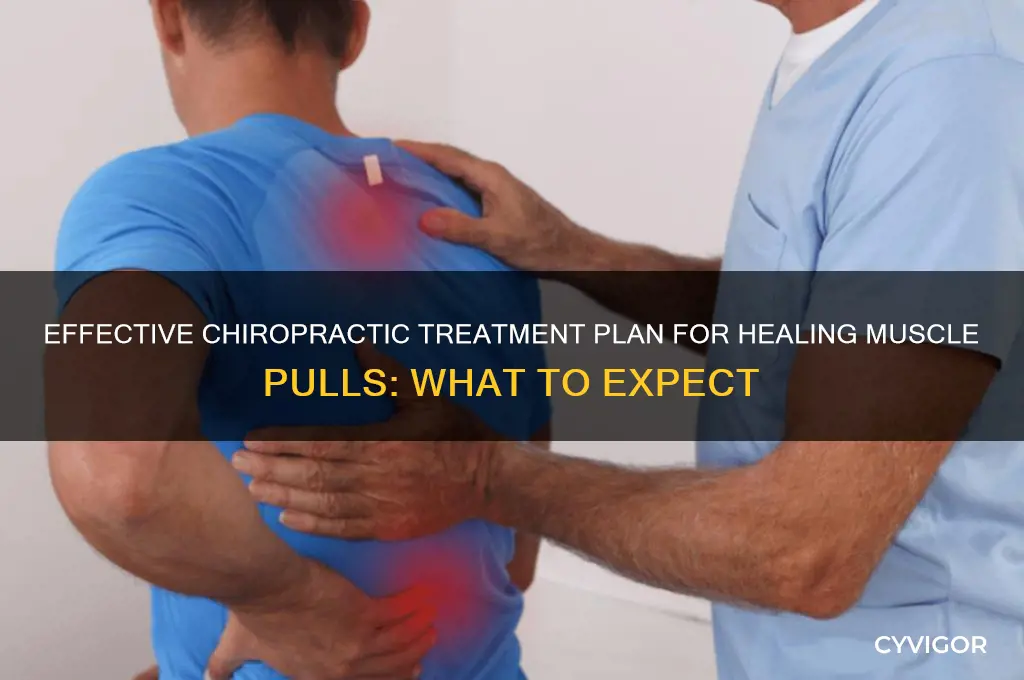 how many chiropractic treatments to cure a muscle pull