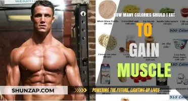Fuel Your Muscle Growth: Optimal Calorie Intake for Gains