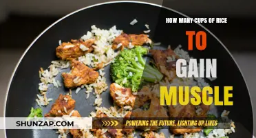 Rice for Muscle Gain: Optimal Cup Measurements Explained