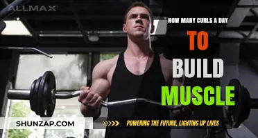 Curling Your Way to Muscle Growth: A Daily Routine Guide