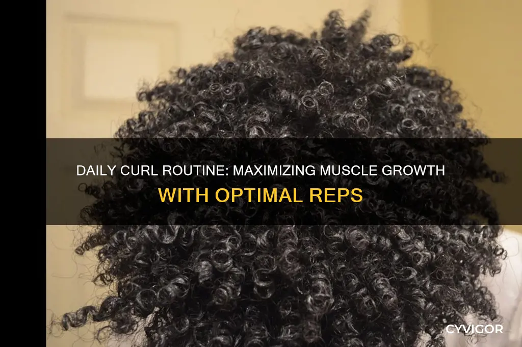 how many curls a day to gain muscle