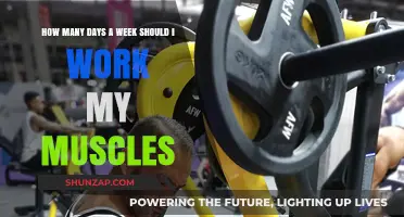 Optimal Muscle Workout Frequency: How Many Days Should You Train Weekly?