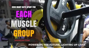 Optimal Muscle Group Training Frequency: Days Apart for Best Results