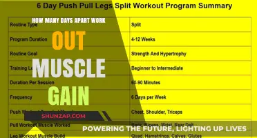 Optimal Workout Frequency for Muscle Gain: Days Apart Strategy