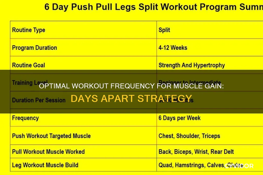 how many days apart work out muscle gain