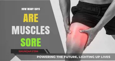 Understanding Muscle Soreness Duration: How Long Do Muscles Stay Sore?