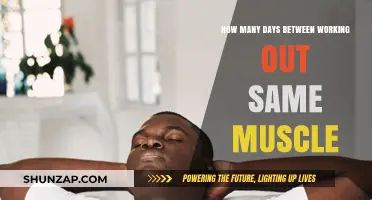 Optimal Rest Days: How Often Should You Train the Same Muscle?